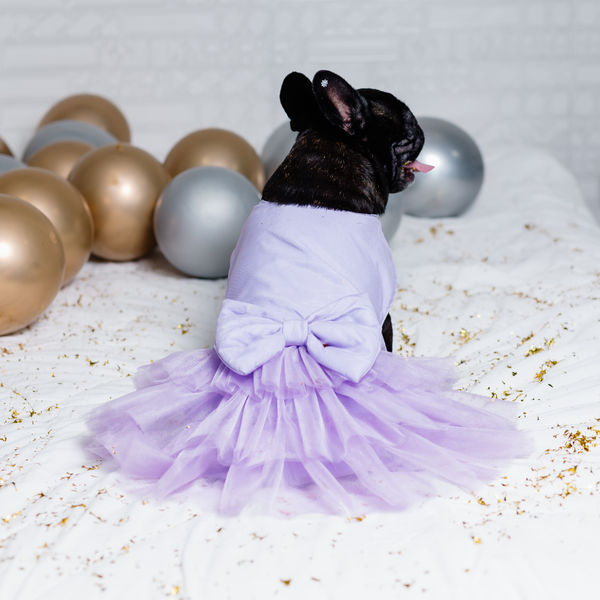 Vestido Daminha Fantasia Pet Lilás