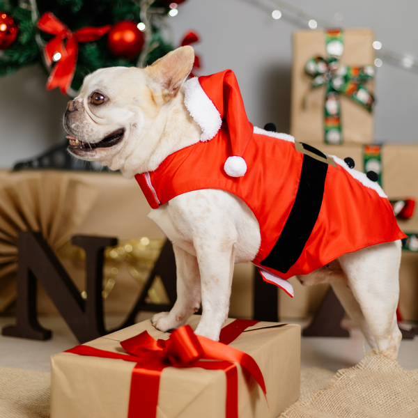Roupa Papai Noel Pet Vermelho