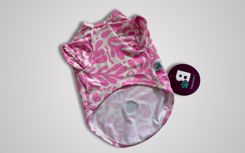 cachorro usando o produto