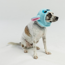 referencias inverno 2025